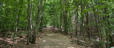 Liberec, Lidové sady, rozc.