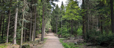 Bedřichovské sedlo, Maliník ↔ Rudolfov, Česká chalupa