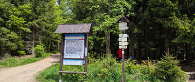 Bedřichovské sedlo, Maliník