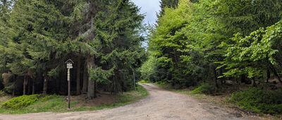 Pod Olivetskou horou