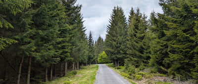 Závory ↔ Pod Olivetskou horou