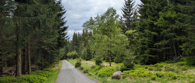 U Závor ↔ Pod Javorovým vrchem