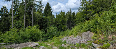 U Jezdce ↔ Mlynářův kříž