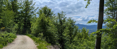 Mlynářův kříž ↔ Mariina cesta, rozc.