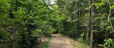 Pod Libereckou výšinou, rozc.