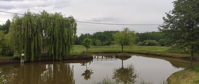 Niepołomice, Rynek ↔ Staniątki