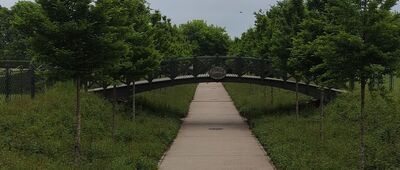 Niepołomice ↔ Niepołomice, Rynek