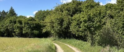 Rozejście szlaków ↔ Pobiedziska, dworzec kolejowy