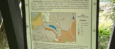 Jezioro Brzostek ↔ Pod Górą