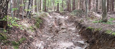 Pomezí, jeskyně ↔ Pod Medvědím kamenem