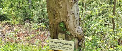 Pod Medvědím kamenem