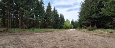 Medvědí kámen, vyhlídka ↔ Nad Schindlerovým pramenem