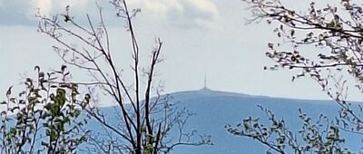 Medvědí kámen, vyhlídka ↔ Pod Medvědím kamenem