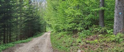 U Pomezí ↔ Pod Medvědím kamenem