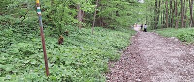 Pomezí, jeskyně ↔ Lipová