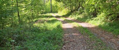 Pod Mrówczyńcem ↔ Piotrowice, skrzyżowanie