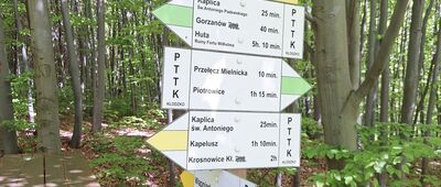 Odejście na Wapniarkę