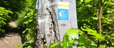 Odejście na Wapniarkę ↔ Skrzyżowanie pod Wapniarką