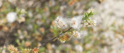 Rozejście pod Jaskinią Rudnicką