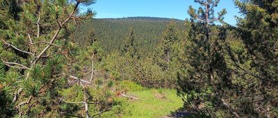 Pod Homolí ↔ Pěticestí