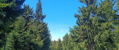 Pod Jelenkou ↔ Pod Homolí