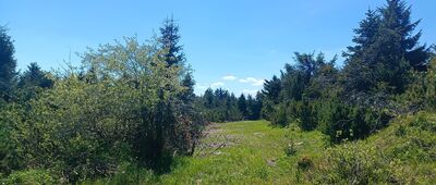 Pod Velkou Deštnou ↔ Pod Jelenkou