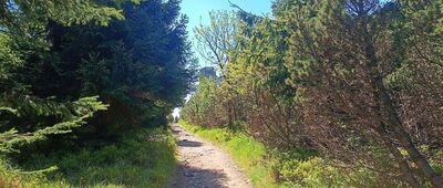 Velká Deštná ↔ Pod Velkou Deštnou