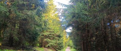 Turistické rozcestí Anenský vrch ↔ Anenský vrch