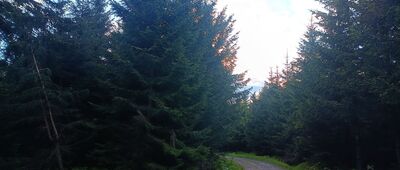 U Anenského vrchu ↔ Turistické rozcestí Anenský vrch