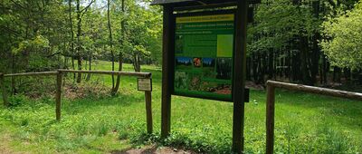 Bukačka, přírodní rezervace 