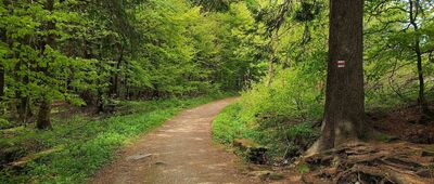 Bukačka, přírodní rezervace 