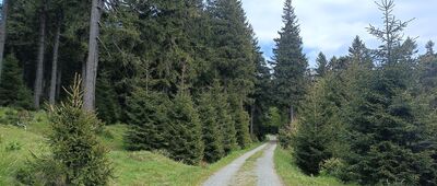 Polomské sedlo ↔ Bukačka, přírodní rezervace 