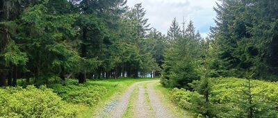 Polomský kopec ↔ Polomské sedlo