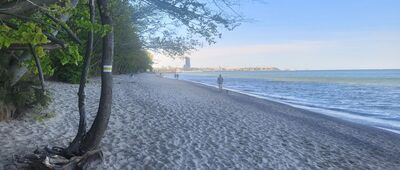 Rezerwat Kępa Redłowska, wejście północne ↔ Rezerwat Kępa Redłowska, wejście nr 12 [Widok na port w Gdyni]