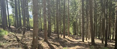 U kostelíčka, rozc. ↔ Háj, rozhledna