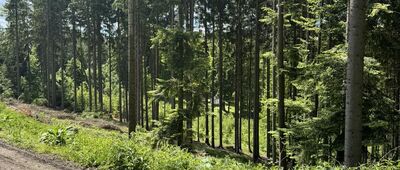 U kostelíčka, rozc.