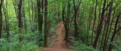 Doły Piekarskie ↔ Doły Piekarskie