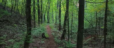 Rozejście szlaków ↔ Suchogórski Labirynt Skalny