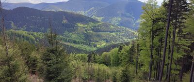 Červenohorské sedlo, odchod Švýcárna ↔ Skalní tabule