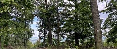 Bradlo, rozc. ↔ Bradlo, rozc.