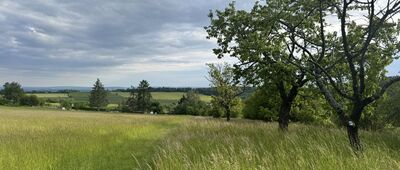 Lipinka, bus ↔ Bradlo, rozc.