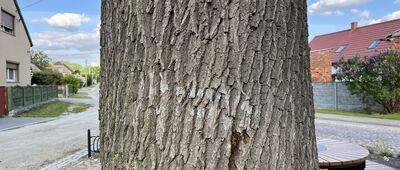 Zawieścice ↔ Wierzowice Wielkie