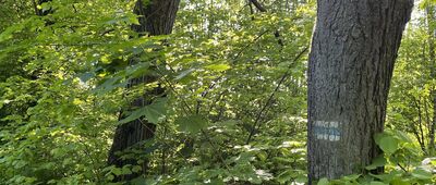 Włodków Dolny ↔ Góra, hala sportowa