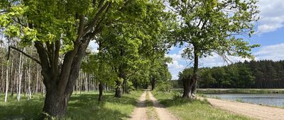 Kłoda ↔ Tarnowa Łąka