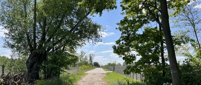 Gronówko ↔ Leszno, Aleje Zygmunta Krasińskiego