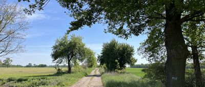 Górka Duchowna ↔ Żakowo