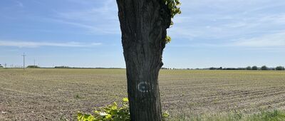 Targowisko ↔ Górka Duchowna [?]