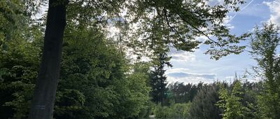 Boguszyn ↔ Błotkowo