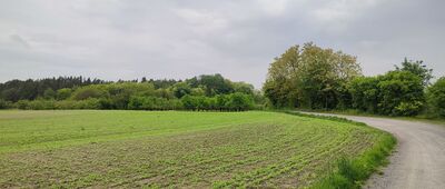 Góry Opolskie ↔ Wrzelowiec