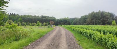 Góry Opolskie ↔ Wrzelowiec